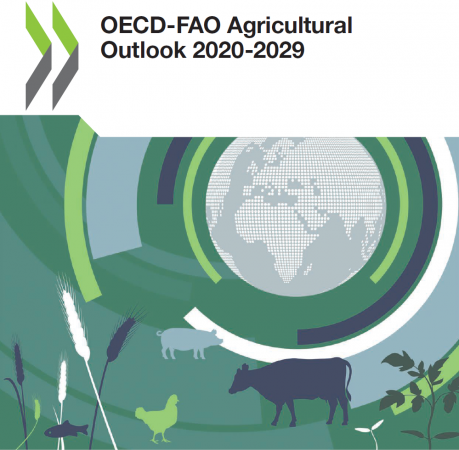 Forside, OECD-FAO Agricultural Outlook 2020-2029