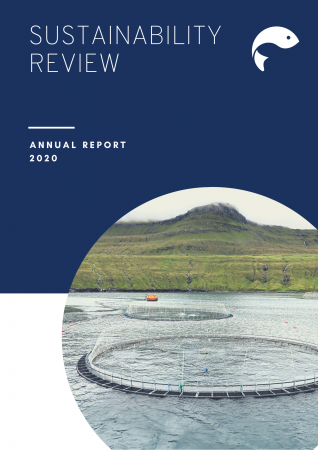 Sustainability review 2020, front page