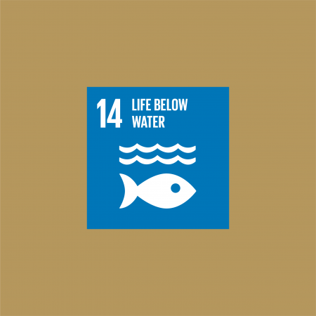 SDG 14