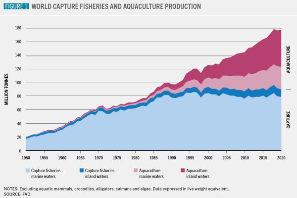 the-state-of-world-fisheries-and-aquaculture-2022-fao-report