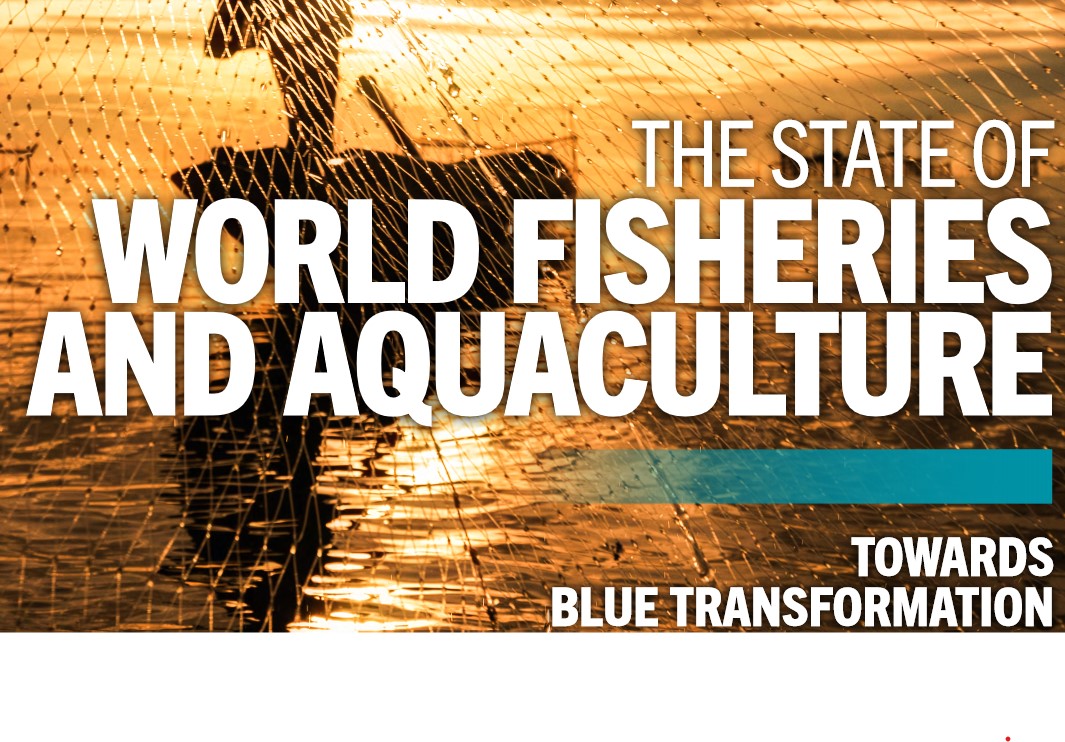 The State of World Fisheries and Aquaculture 2022 FAO Report